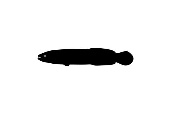 Download Silhouette of a Fish with a Distinctive - Distinctive Collection